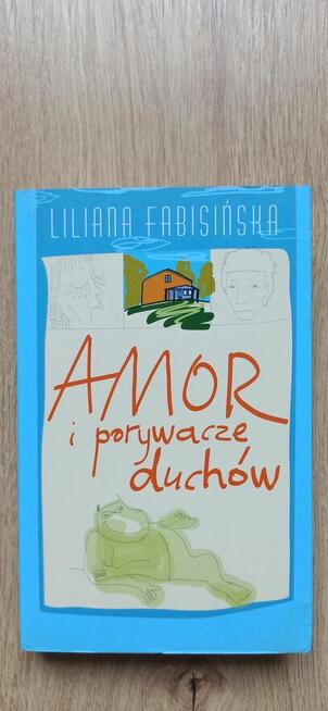 Amor i porywacze duchów - Liliana Fabisińska