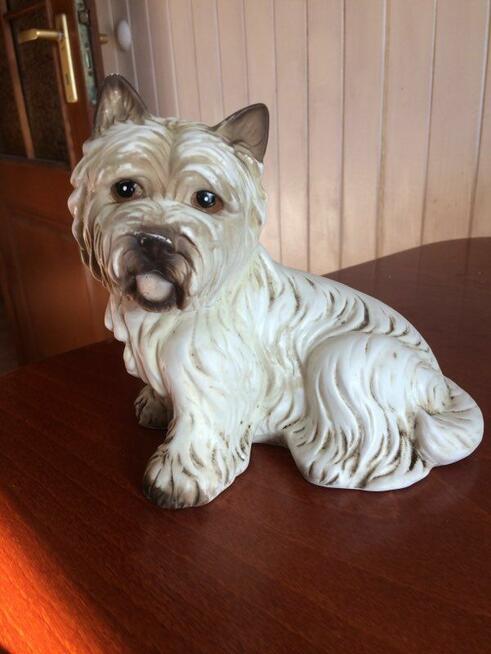 Sprzedam pieska z porcelany