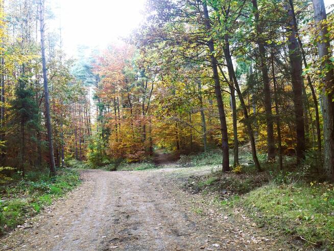 Aparat bezusterkowy Panasonic G7 z dodatkowym akumulatorem