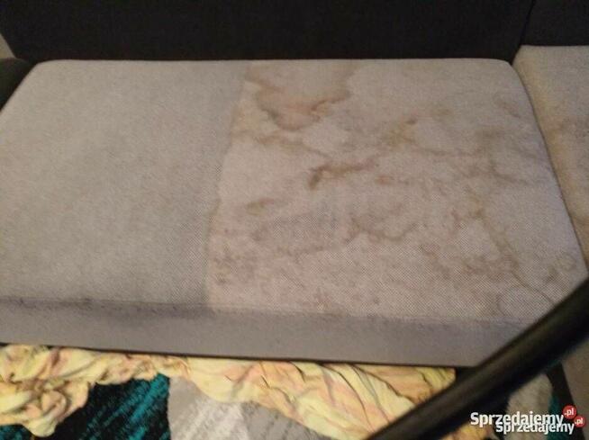 Pranie tapicerki meblowe i samochodowej. Mycie okien