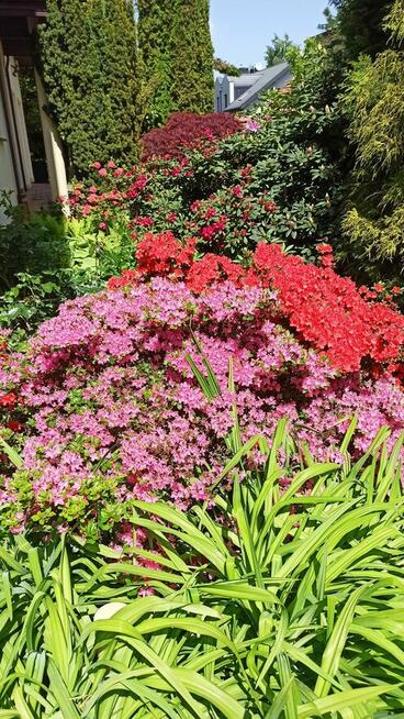 Na sprzedaż piękny dom wolnostojący w doskonałej lokalizacji