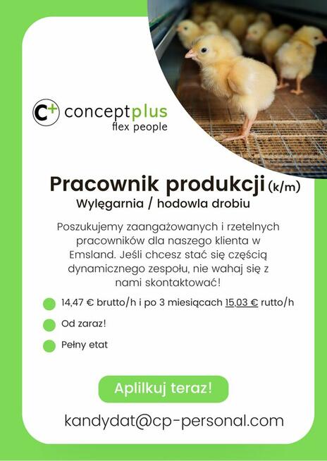 Pracownik produkcji (k/m) - wylęgarnia / hodowla drobiu