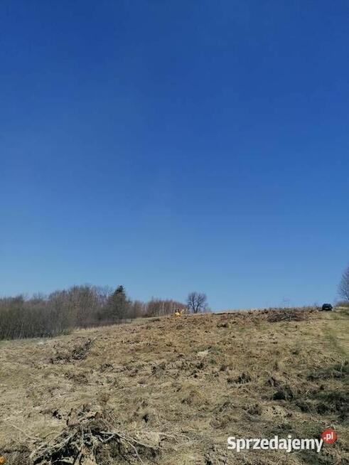 Karczowanie działek, czyszczenie działek, wycinka zarośli