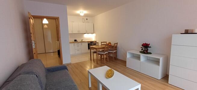 WYNAJĘTE apartament typu m3 w centrum miasta z garażem