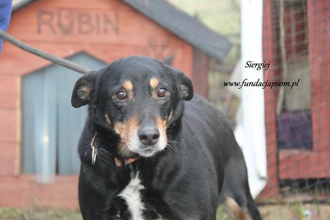 Siergiej prosi o dom