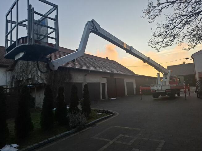 Wynajem podnośnika koszowego zwyżka wycinka drzew Przibylla