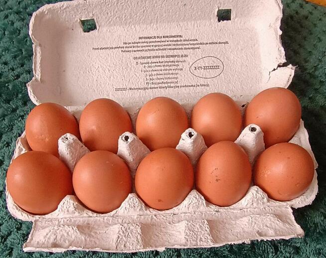 Jajka wiejskie