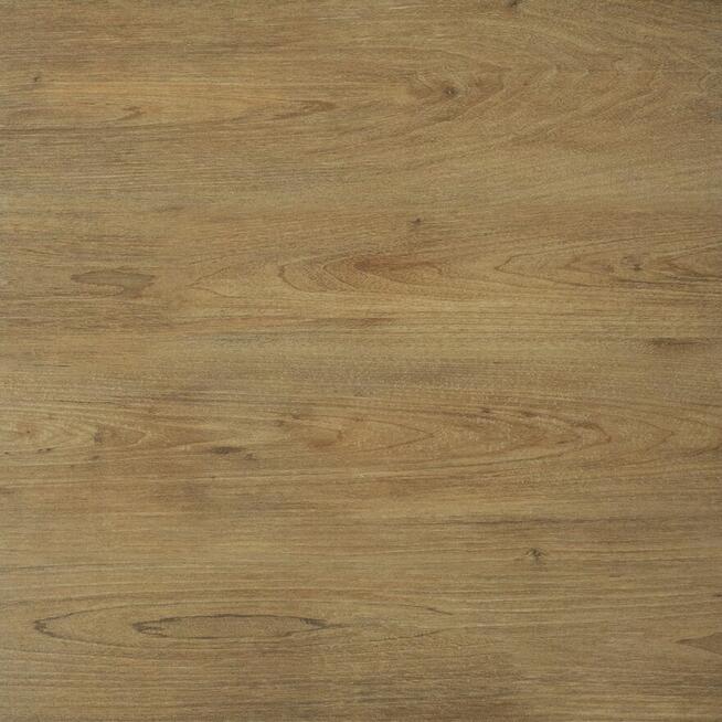 Płyty zewnętrzne mrozoodporne drewnopodobne 60x60 Ragaya