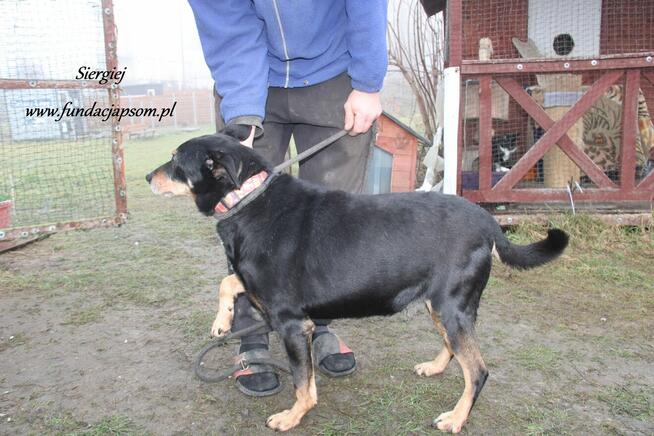 Siergiej prosi o dom