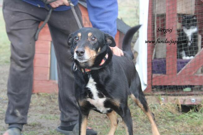 Siergiej prosi o dom