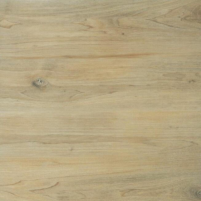 Płyty zewnętrzne mrozoodporne drewnopodobne 60x60 Ragaya