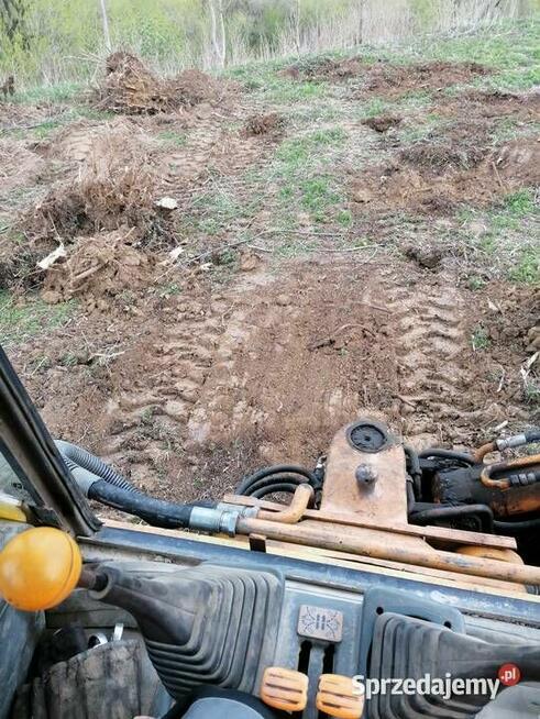 Karczowanie działek, czyszczenie działek, wycinka zarośli