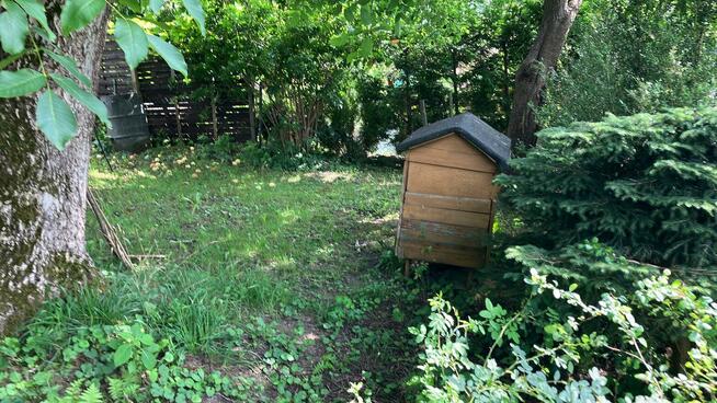 Działka ROD im. 500 lecia Mikołaja Kopernika