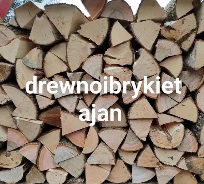 Drewno opałowe, zrzyny tartaczne, brykiet drzewny, pellet