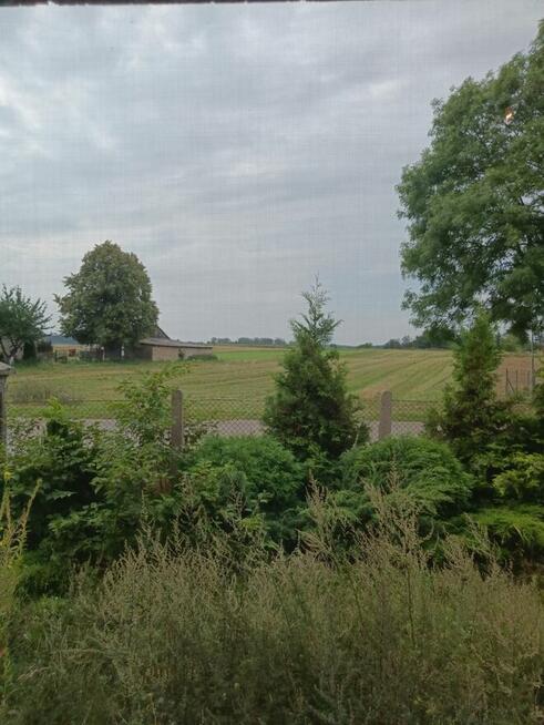 Mieszkanie bezczynszowe