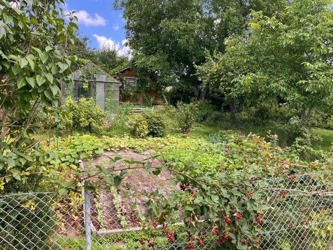 Działka ROD im. 500 lecia Mikołaja Kopernika