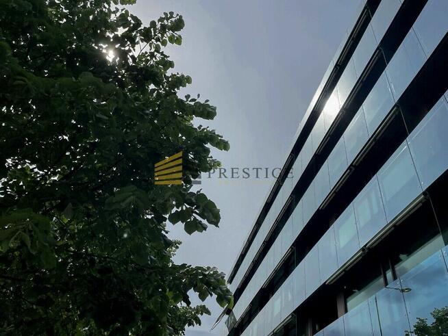 Apartament 160 m2 tuż przy Starym Mieście