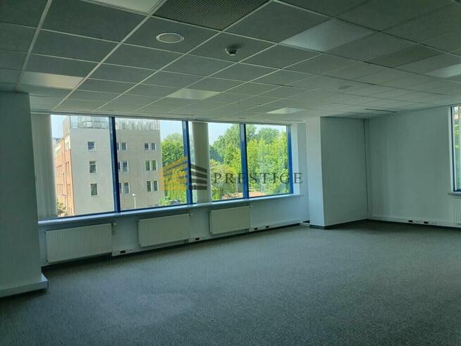 Wyjątkowy lokal na wynajem przy Ludnej – Prestiżow