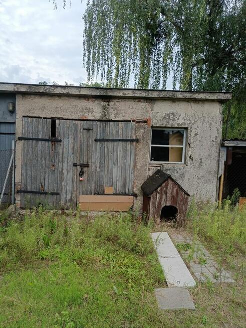 Mieszkanie bezczynszowe