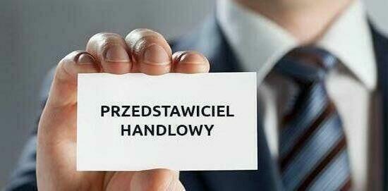 Przedstawiciel handlowy/asystent klienta - Branż produkcyjna