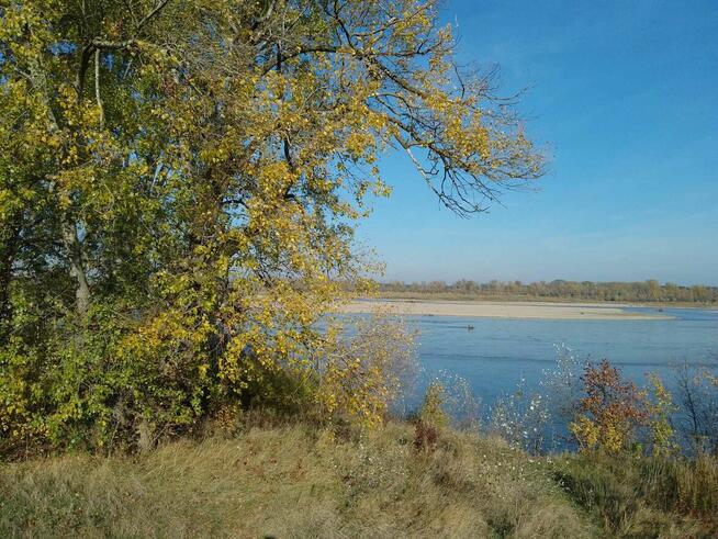 Noclegi w domkach Tiny House