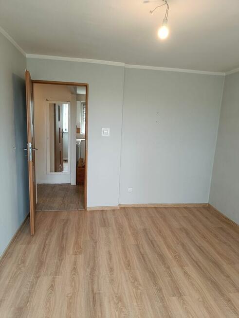 Mieszkanie bezczynszowe