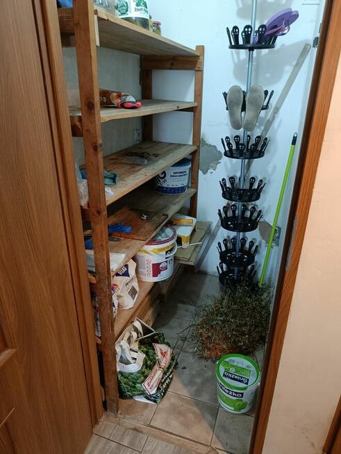 Mieszkanie bezczynszowe