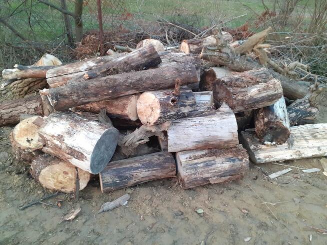 DREWNO NA OPAŁ - DO PIECA , KOMINKA itp. TOPOLA PO 95 ZŁ