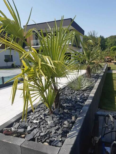 Ogrody Pilarscy#Projektowanie i zakładanie zieleni.