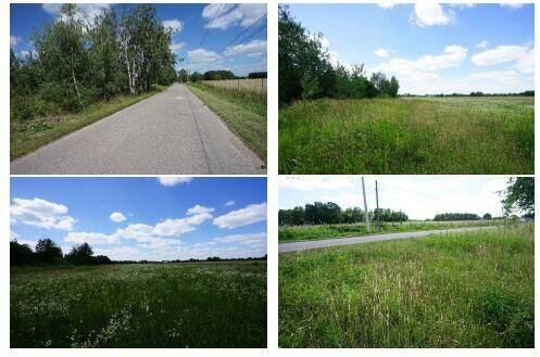 Hala magazynowa z częścią biurową - Gościeńczyce k. Grójca