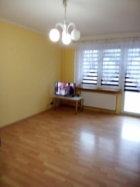 Sprzedam lub wynajmę