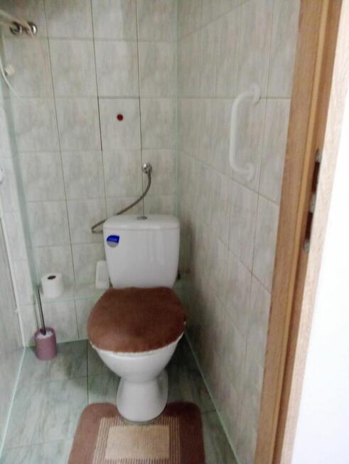 Sprzedam lub wynajmę