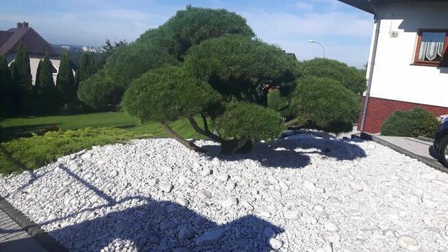 Ogrody Pilarscy#Projektowanie i zakładanie zieleni.