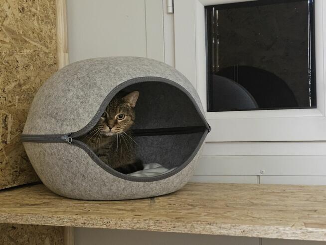 Kocia Laba hotel dla kotów