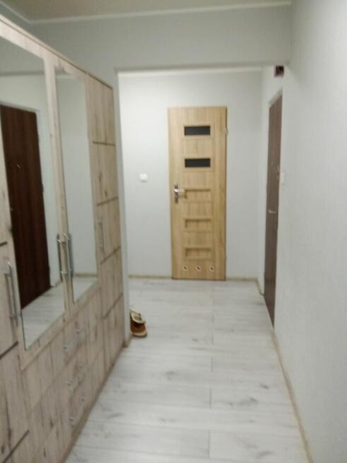 Sprzedam lub wynajmę