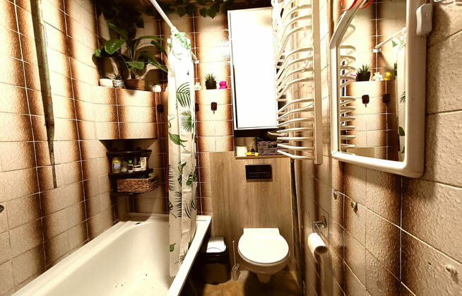 Dom na działce 4100 m2, Wiszniów, gm. Mircze