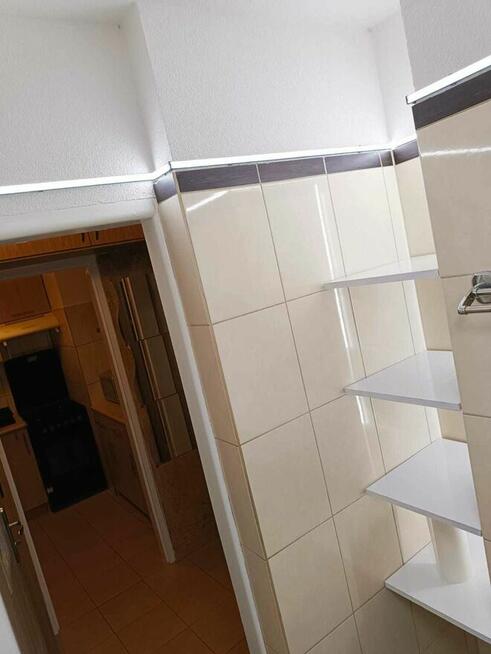 Wynajmę mieszkanie WINOGRADY