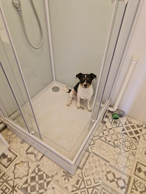 Glazurnictwo Łazienki