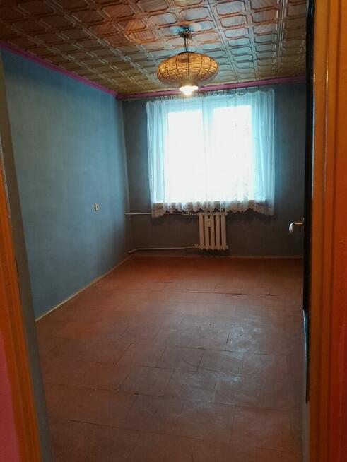 Sprzedam mieszkanie z garażem i ogródkiem. Super lokacja.