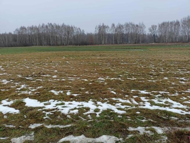 Działka budowlana Sędziszów Młp.