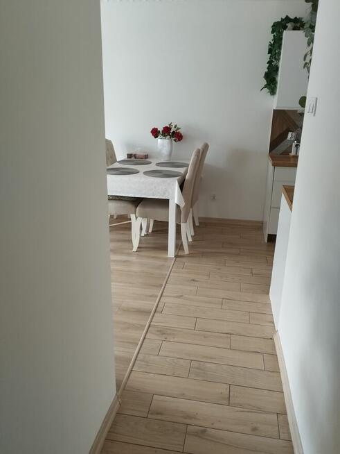 Mieszkanie na wczasy w Kołobrzegu