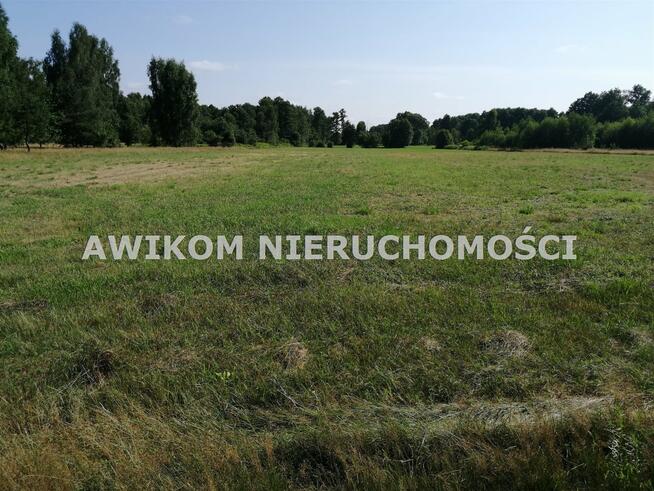 Działka siedliskowa Radziejowice Stare Budy Radziejowskie