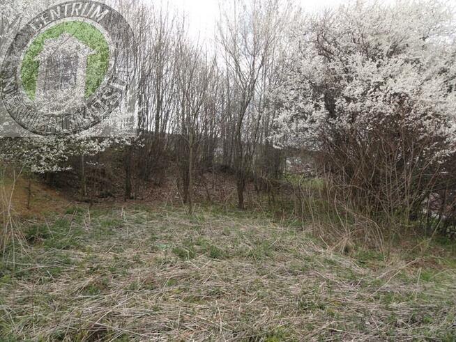 Działka budowlana Biczyce Dolne gm. Chełmiec