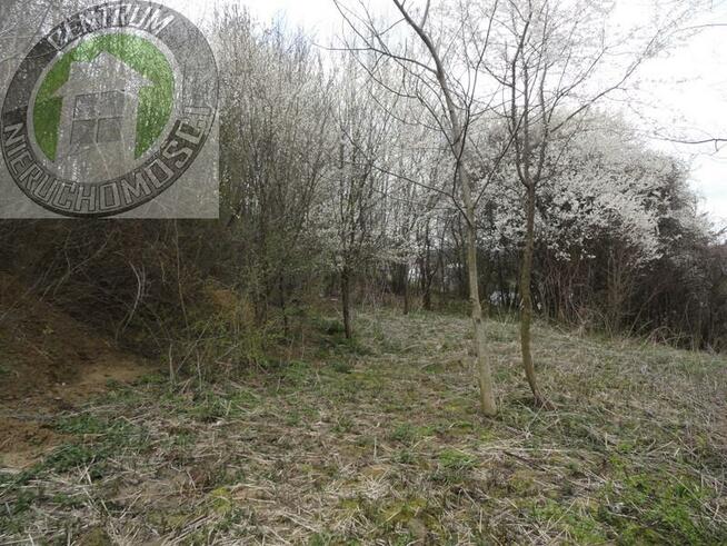 Działka budowlana Biczyce Dolne gm. Chełmiec