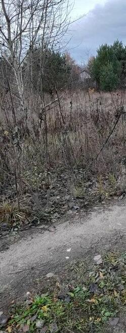 Działka budowlano-usługowa LISI OGON