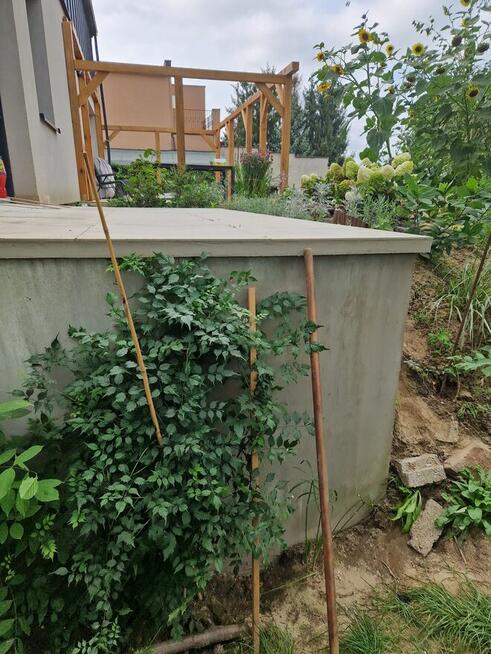 Glazurnictwo Łazienki