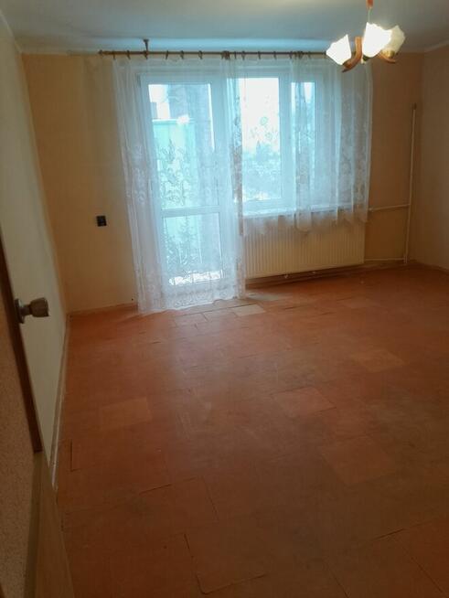 Sprzedam mieszkanie z garażem i ogródkiem. Super lokacja.