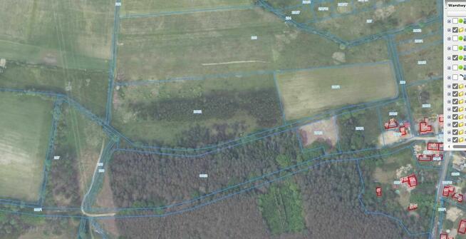 Działka rolna Leśniów Wielki.
