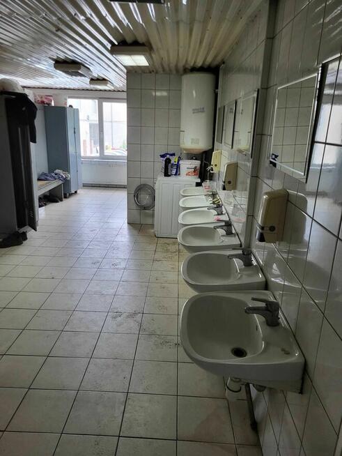 Hala, warsztat na samochody ciężarowe, osobowe pow. 670m2