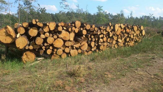 Gotowe drewno kominkowe i opałowe – darmowy transport od 2 m